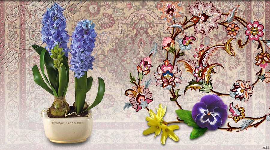 گل سنبل یکی از مکمل های تزیدنی سفره هفت سین است. گل سنبل نشانه آغاز بهار و عطر سنبل نمادی از طراوت بهشت است